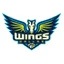 Wings logo