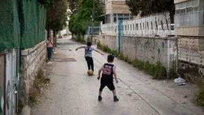 Onde há uma bola, há vida